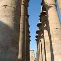 [Temple of Luxor - Egypt]