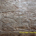 [Temple of Luxor - Egypt]