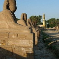 [Temple of Luxor - Egypt]