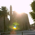 [Temple of Luxor - Egypt]