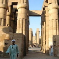 [Temple of Luxor - Egypt]