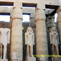 [Temple of Luxor - Egypt]