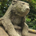 Animal Wall - Cardiff Castle - Wales (2888 návštev) When Burges died in 1881, his work was continued by his former assistant William Frame
[Animal Wall... Animal Wall - Cardiff Castle - Wales