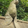 These animals were added between 1885 and 1930
[Cardiff Castle - Cardiff - Wales]