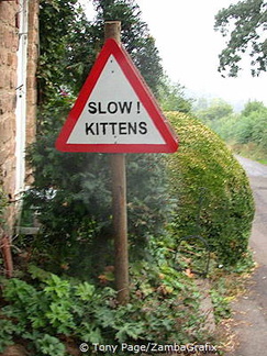 Great Tew Village