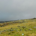 Dartmoor National Park