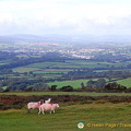 Dartmoor National Park