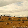 Bales of hay dotting the landscape [Durham - England]