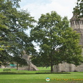 Glastonbury Abbey - Abbots Kitchen