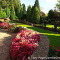 Beautiful garden of Croft House
[Ilkeston, England]