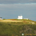 Lizard Point