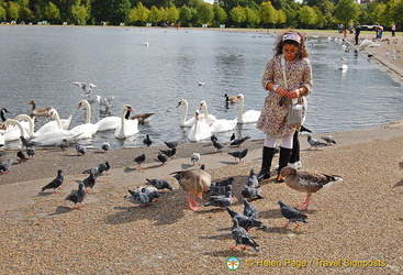 Bird feeding at the Round Pond, a favourite activity with kids
