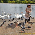 Bird feeding at the Round Pond, a favourite activity with kids