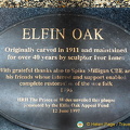 The Elfin Oak - originally carved in 1911 (3748 visits) Originally carved in 1911, the Elfin Oak was maintained for over 40 years by Ivor Innes (sculptor)
[... The Elfin Oak - originally carved in 1911