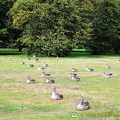 At last count there were 178 bird species
