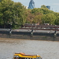 The amphibian London Duck