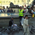 Pigeon feeding at Trafalgar Square