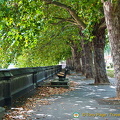 A nice tree-lined pavement