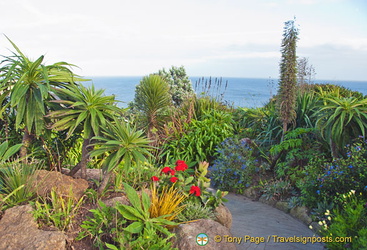 The very colourful Minack Gardens