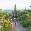 The plants chosen for this garden are able to withstand salt laden gales, hot summers and cold wet winters