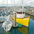 An attractive yellow wooden boat in Sutton Harbour Marina