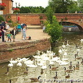 [Stratford-upon-Avon - England]