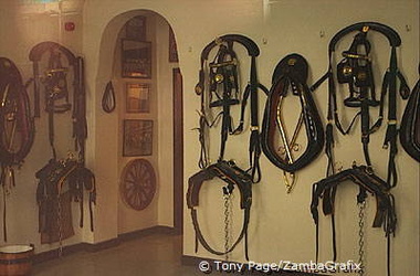 Bridles for the Brewery dray-horses, Tadcaster [Yorkshire - England]