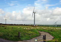 Cornish country scenery