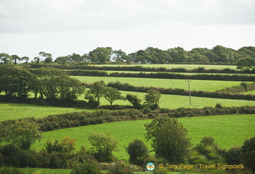 Cornwall countryside