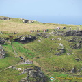 Tintagel Castle