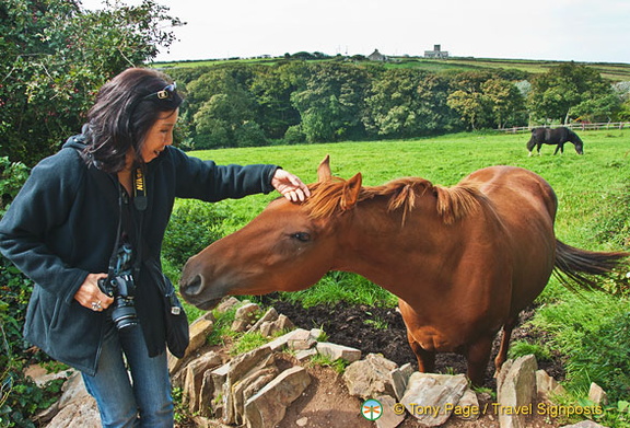 My new found friend - what a beautiful creature