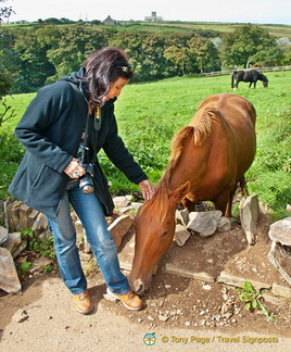 He likes my shoe which is the same colour as his hide