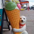 Like me, this bear likes icecream