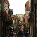The Shambles
