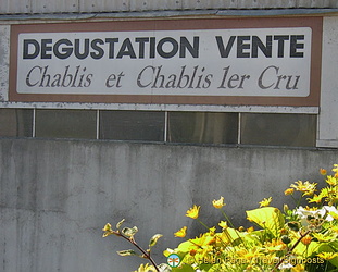 Chablis - France