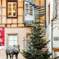 Quai de la Poissonnerie (899 visits) Rhino on the loose at the Quai de la Poissonnerie Quai de la Poissonnerie