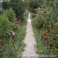 Giverny - France (3497 visits) Monet's house and garden at Giverny
Giverny - France