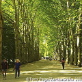 Grand avenue leading to Chateau Chenonceau [Chateaux Country - The Loire - France]