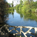 Bois de Boulogne, Paris