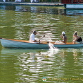 Bois de Boulogne, Paris (1580 visits) Rowing in the lakes of Bois de Boulogne, Paris Bois de Boulogne, Paris