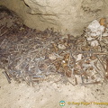 Bones that have not been arranged