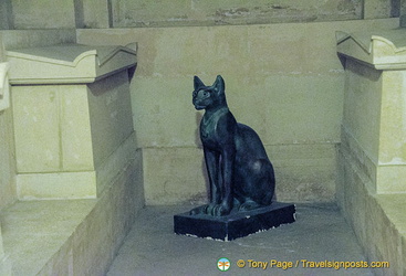 A cat-lover in this crypt