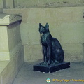 A cat-lover in this crypt