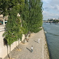 Along the Seine riverbank