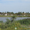 Stes Maries-de-la-Mer, Camargue, France