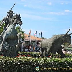 Camargue and Stes-Maries-de-la-Mer