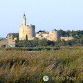 Stes. Maries-de-la-Mer, Camargue, France