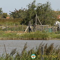 The Camargue - Provence, France