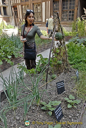 Troyes - France (1403 visits) Troyes - France