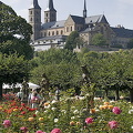 View of St Michael's Mountain from Bamberg Rose Garden